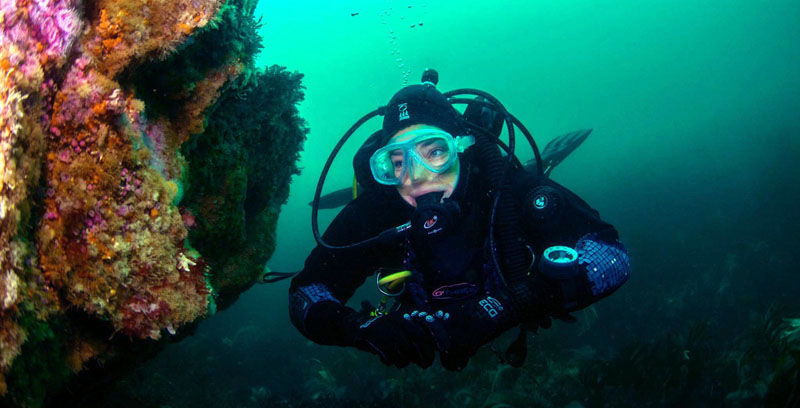 Diver looking at wall off the Skellig Rock