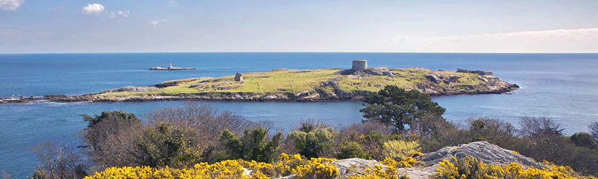 View of Dalkey Island and Muglins Rock