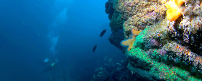 Wall dive off Quilty in Co Clare